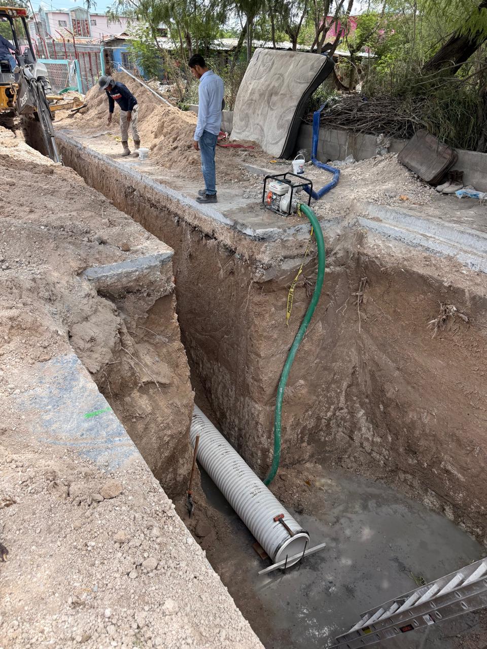 Imagen de la obra